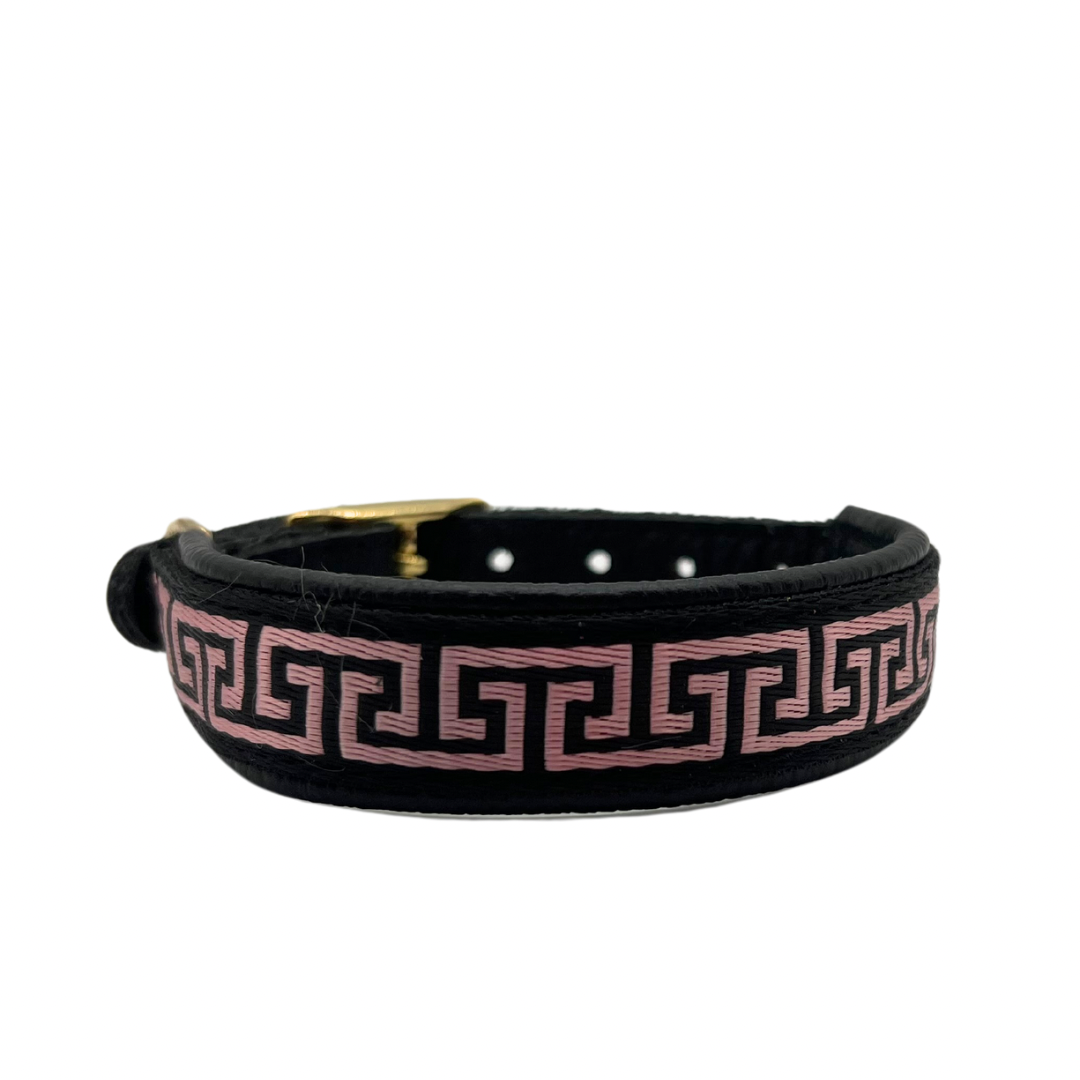 Canis Design