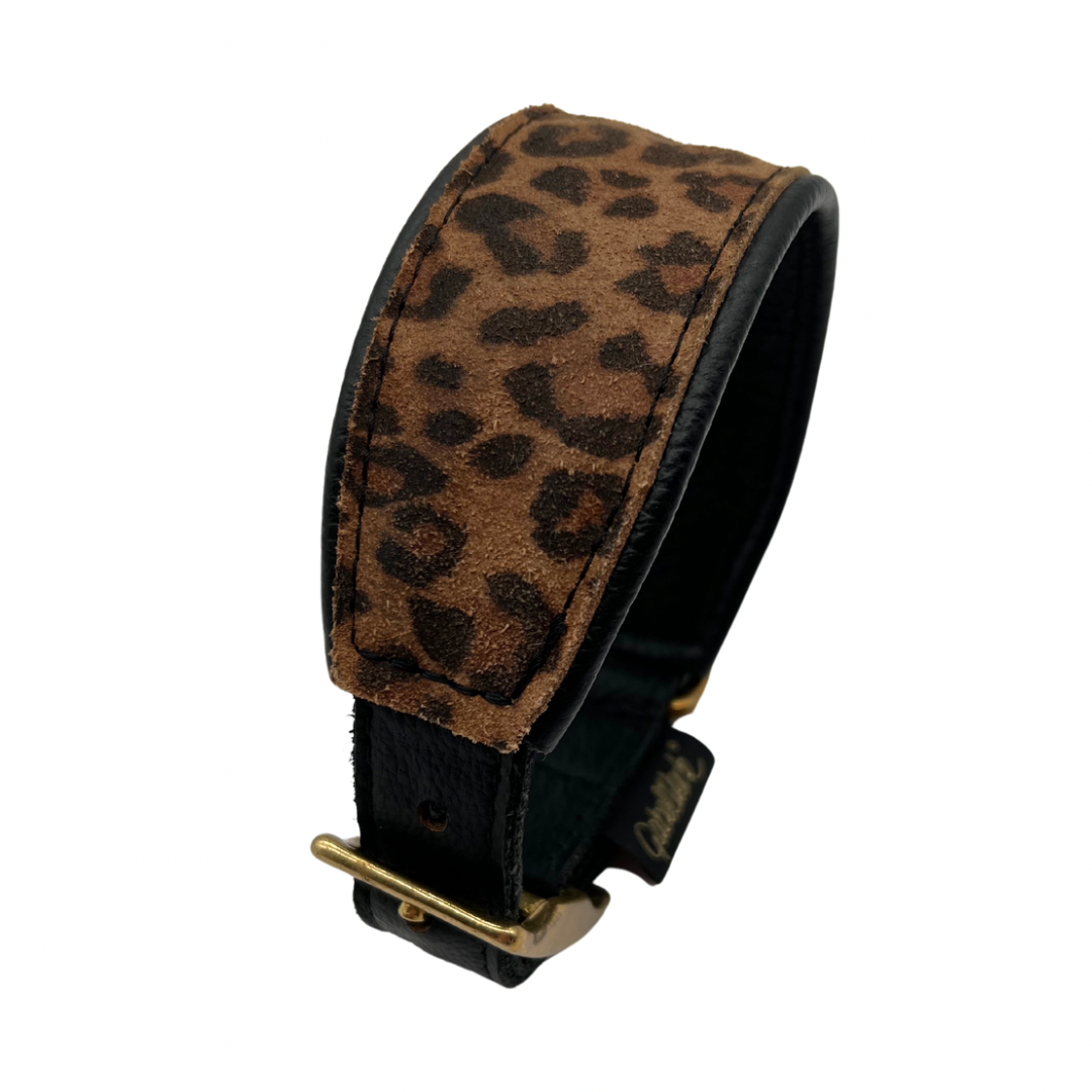 Canis Leo used HU 26-32 cm, Breite 4,5 cm
