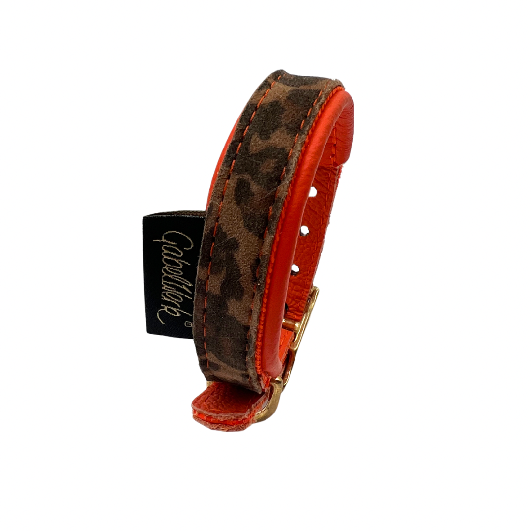 Canis Leo used HU 17-23,5 Breite 2 cm