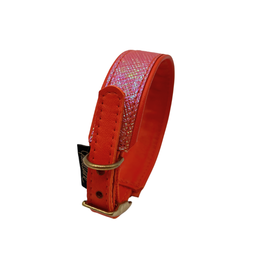 Canis Fairytale orange HU 28-34 cm, Breite 3 cm