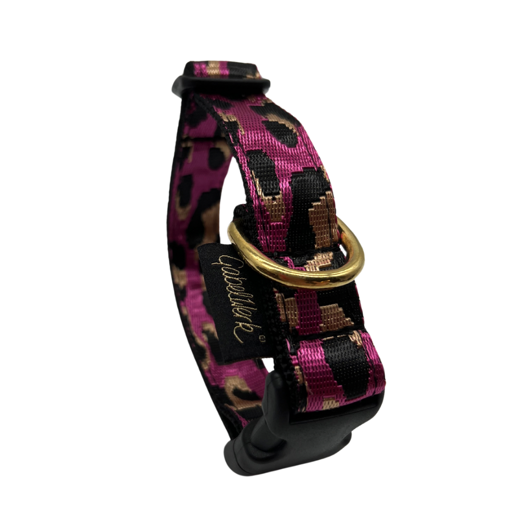 Canis Sporty 2,5cm Leo (HU 30-50cm)