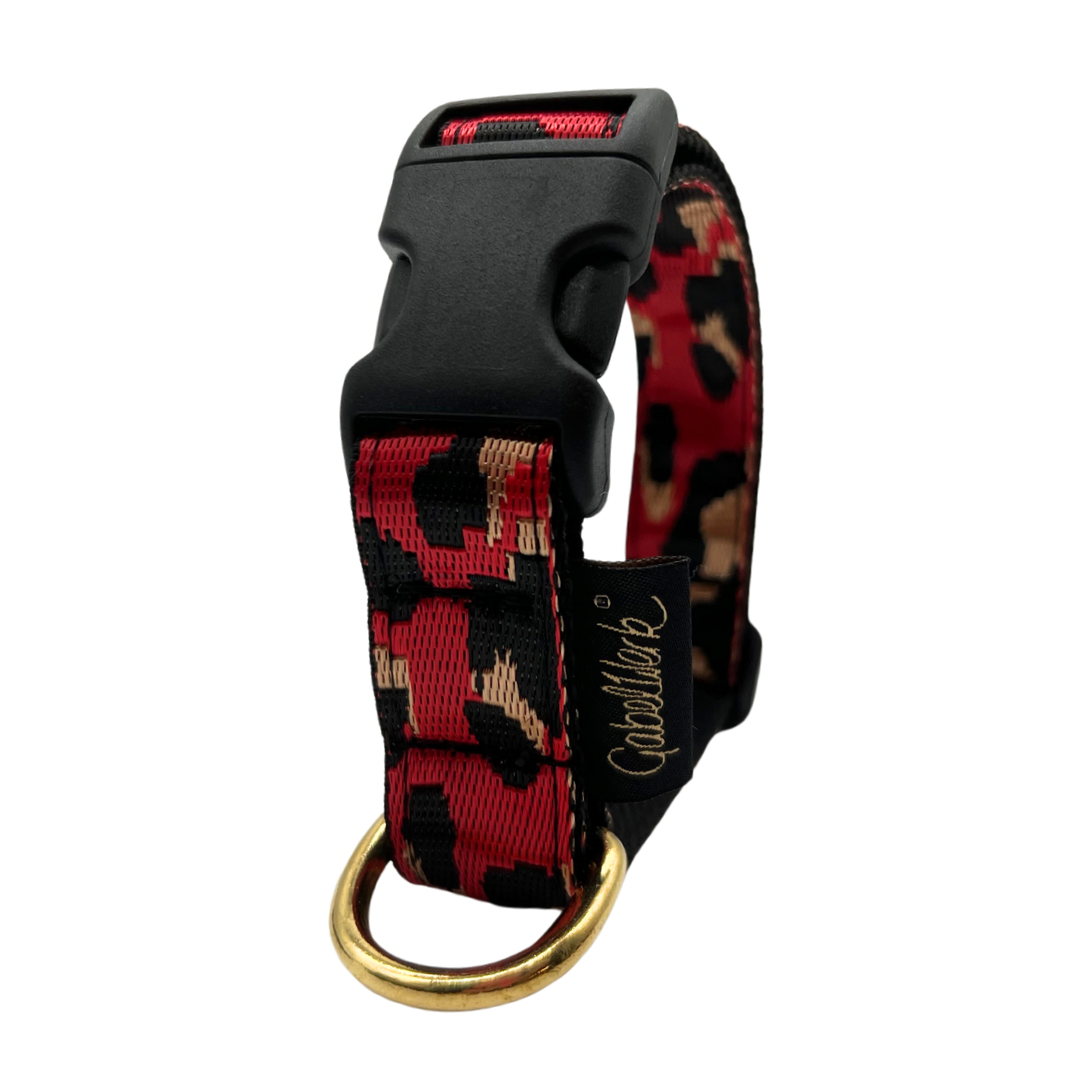 Canis Sporty 2,5cm Leo (HU 30-50cm)