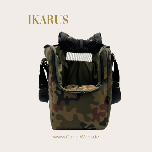 Ikarus