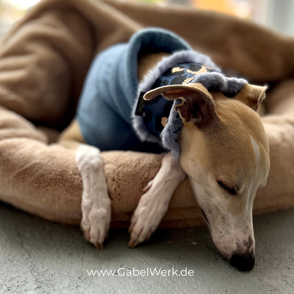 Canis Winter Edition Design