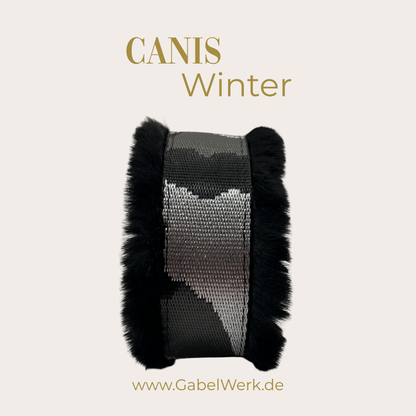 Canis Winter Edition Design