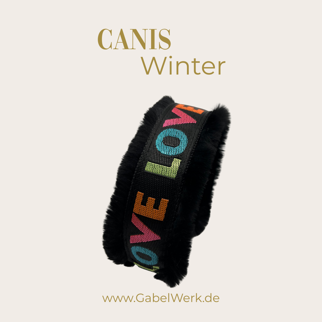 Canis Winter Edition Design