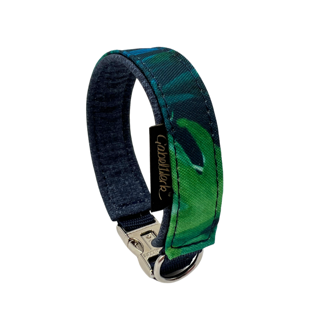 Canis Sommer Outdoor